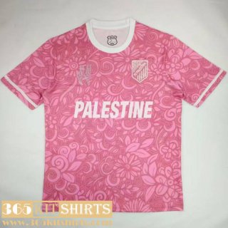 Football Shirts Palestine Special Edition Mens 24 25 TBB674