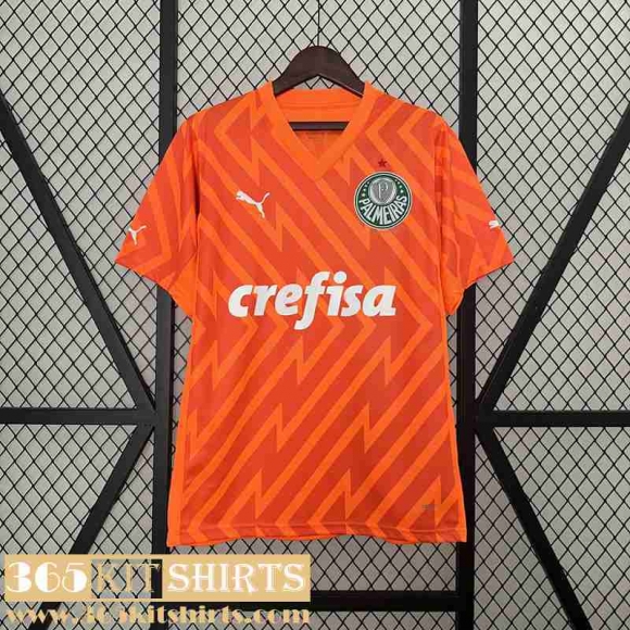 Football Shirts Palmeiras Goalkeepers Mens 2024 2025 TBB390