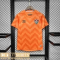 Football Shirts Fluminense Goalkeepers Mens 2024 2025 TBB505