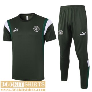 Training T Shirt Manchester City Mens 2023 2024 A172