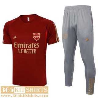 Training T Shirt Arsenal Mens 2023 2024 A173