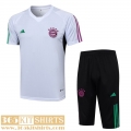Training T Shirt Bayern Munich Mens 2023 2024 A184