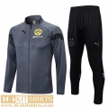 Jacket Dortmund grey Mens 2022 2023 JK662