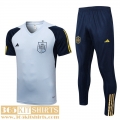 Training T Shirt Spain light blue Mens 2022 2023 TG638