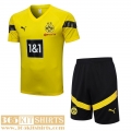 Training T Shirt Dortmund yellow Mens 2022 2023 TG643