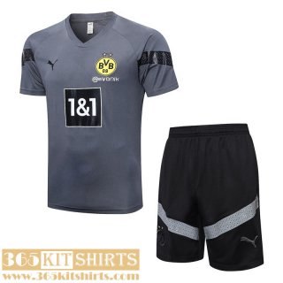Training T Shirt Dortmund grey Mens 2022 2023 TG644