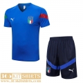 Training T Shirt Italy blue Mens 2022 2023 TG646