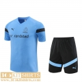 Training T Shirt Marseille blue Mens 2022 2023 TG659