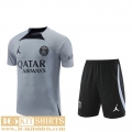 Training T Shirt PSG grey Mens 2022 2023 TG663