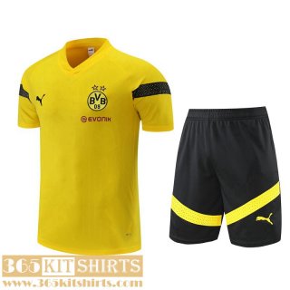 Training T Shirt Dortmund yellow Mens 2022 2023 TG676