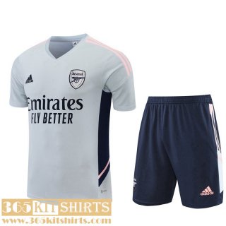 Training T Shirt Arsenal grey Mens 2022 2023 TG699