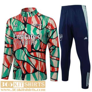 Training Arsenal Mens 24 25 A718