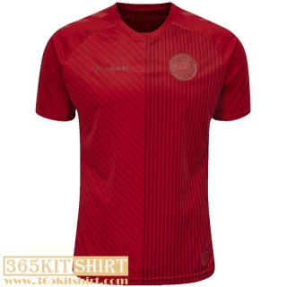 Third Denmark Football Shirt Mens EURO 2021