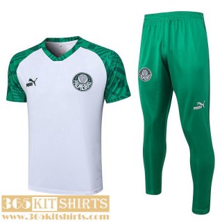 Training T Shirt Palmeiras Blanc Mens 2023 2024 TG752