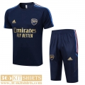 Training T Shirt Arsenal bleu Mens 2023 2024 TG767