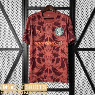 Football Shirts Palmeiras Goalkeepers Mens 25 26