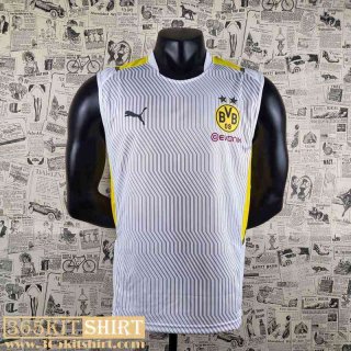 T-Shirt Dortmund Grey Mens 2022 2023 PL325