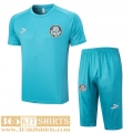 Polo Shirt Palmeiras sky blue Mens 2023 2024 PL684