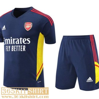 T-Shirt Arsenal blue Mens 2022 2023 PL470