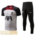 T-Shirt Liverpool Grey Mens 2022 2023 PL537