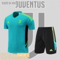 T-Shirt Juventus green Mens 2022 2023 PL590