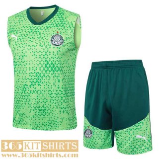 T-Shirt Sleeveless Palmeiras Mens 2425 H140