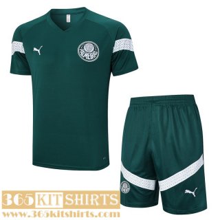 Training T Shirt Palmeiras Green Mens 2023 2024 TG873