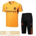 Training T Shirt Brazil orange Mens 2023 2024 TG874