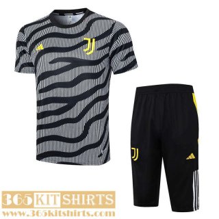Training T Shirt Juventus gray Mens 2023 2024 TG935