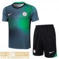 T Shirt Nigeria Mens 2024 2025 H208